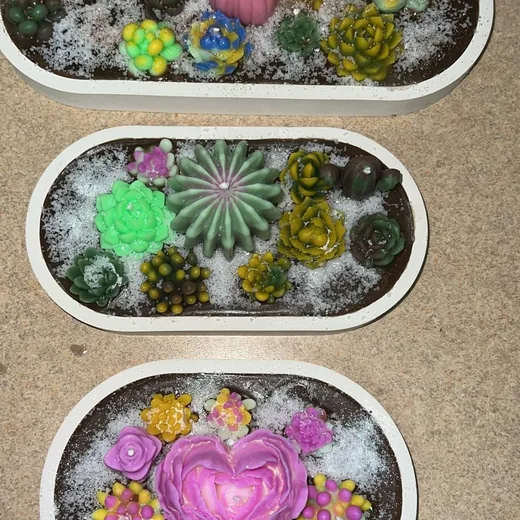 Velas de suculentas hechas por una alumna